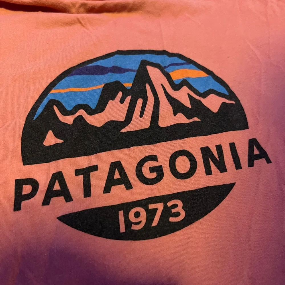 Orange Patagonia Graphic T-Shrit - Picture 2 of 3